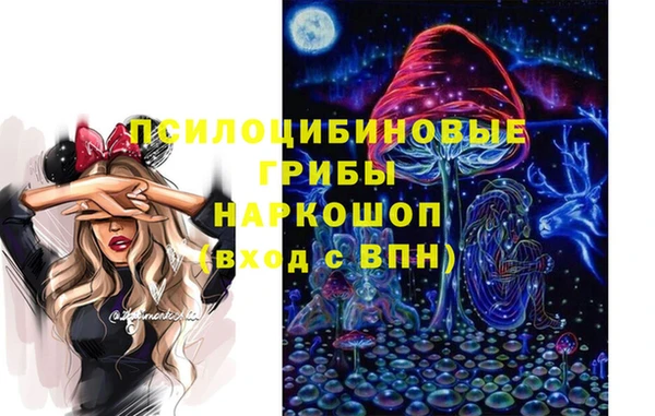 гашик Абаза