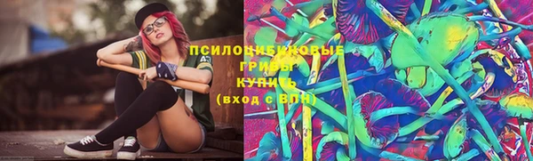гашик Абаза