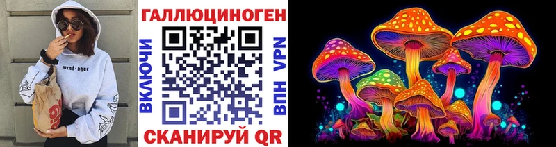 Псилоцибиновые грибы Psilocybe Калининград
